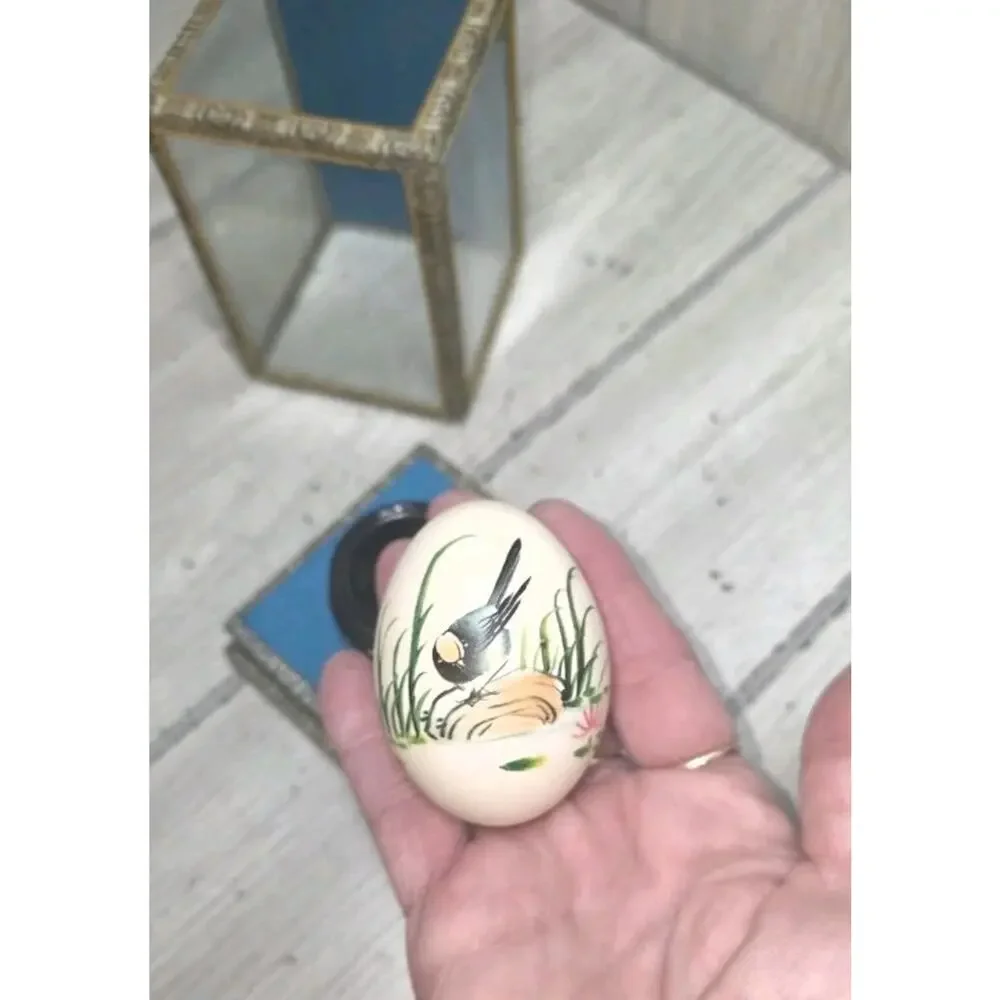 Vintage Hand Painted Song Bird Egg In Glass Box Delicate Fragile Elegant